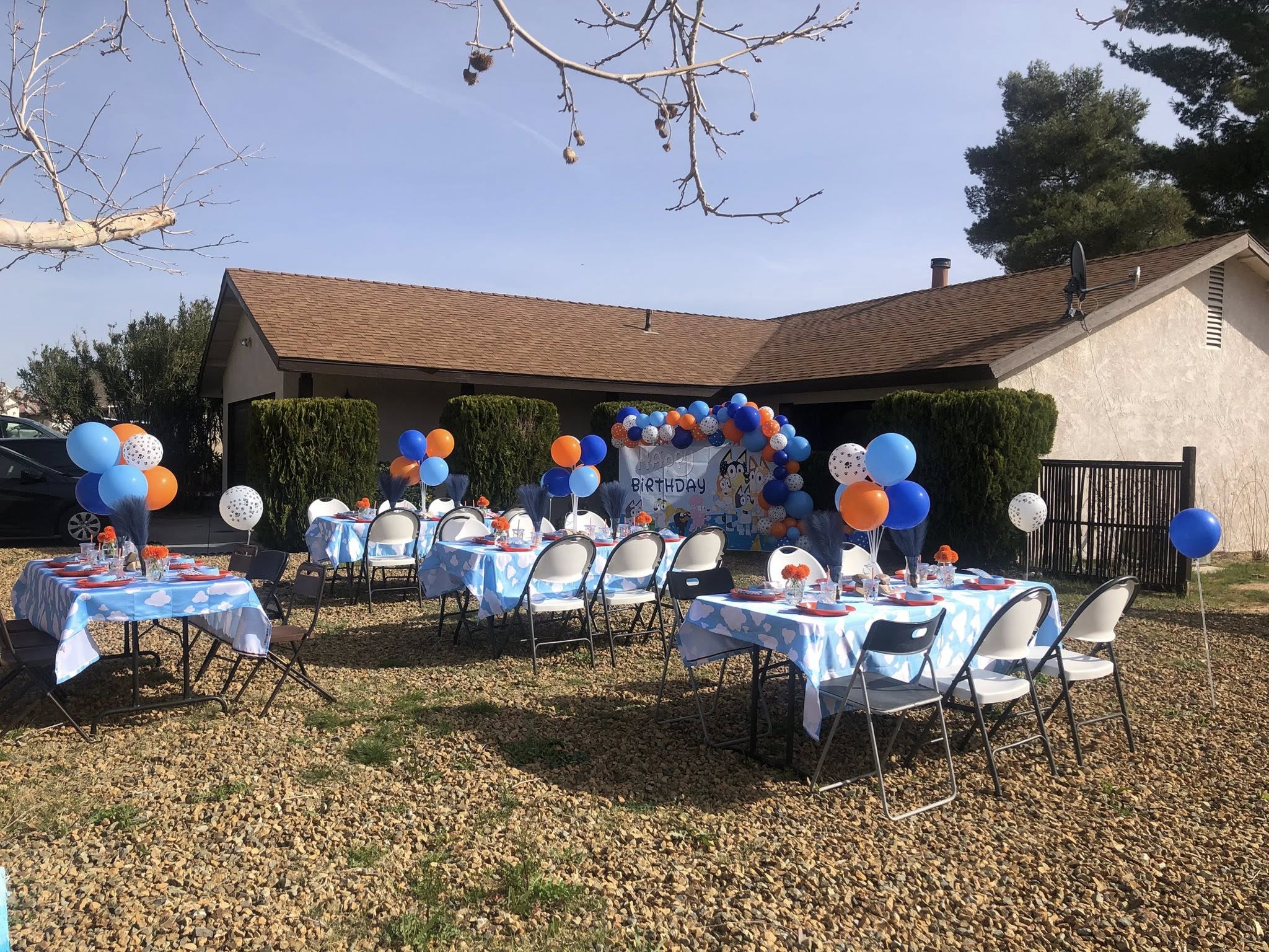 Outdoor birthday party setup with blue cloud-patterned tablecloths and blue and orange balloon arches.