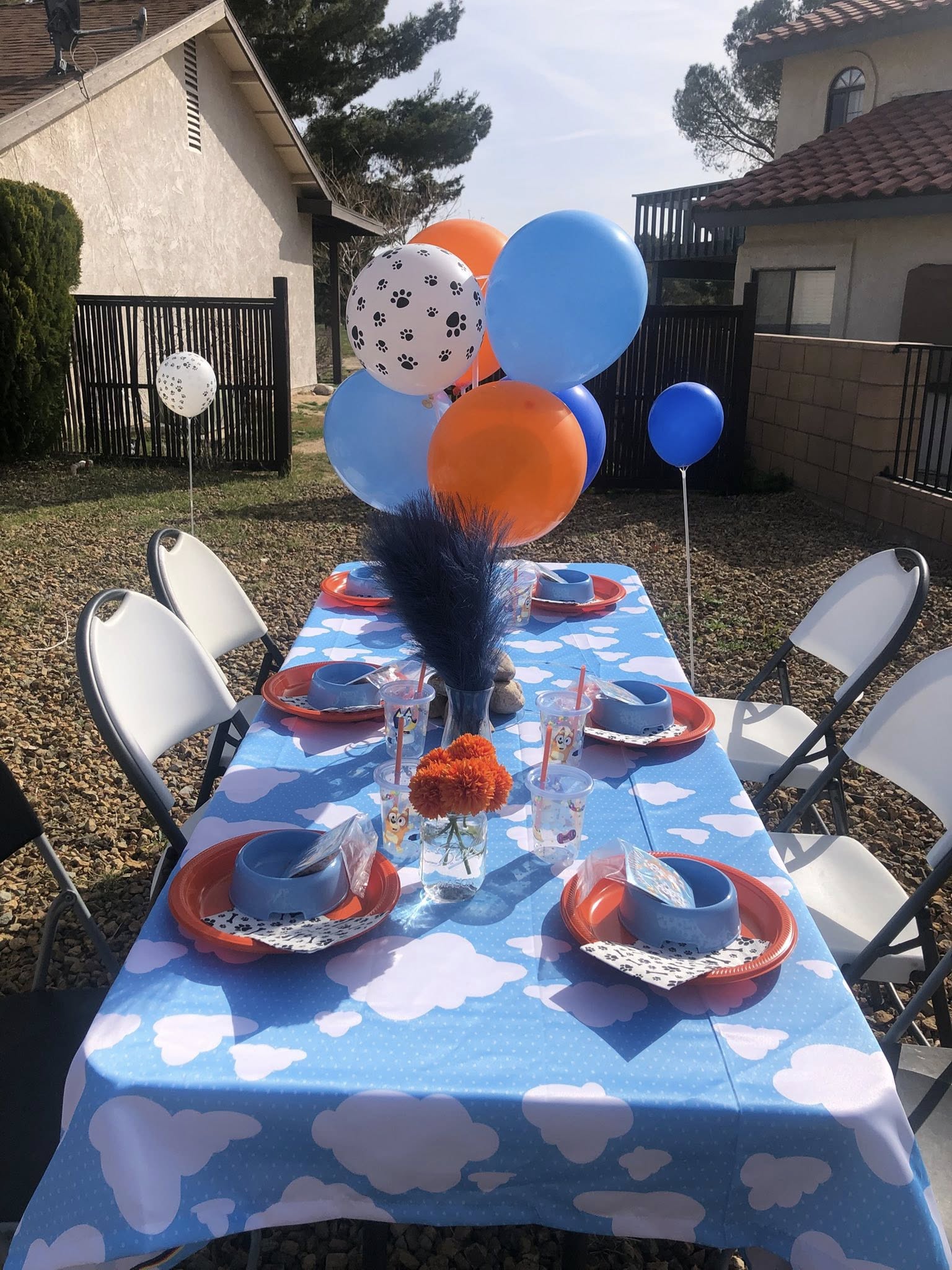 Outdoor party table decorated with a cloud print tablecloth, orange and blue balloons, and paw print themed dishware.