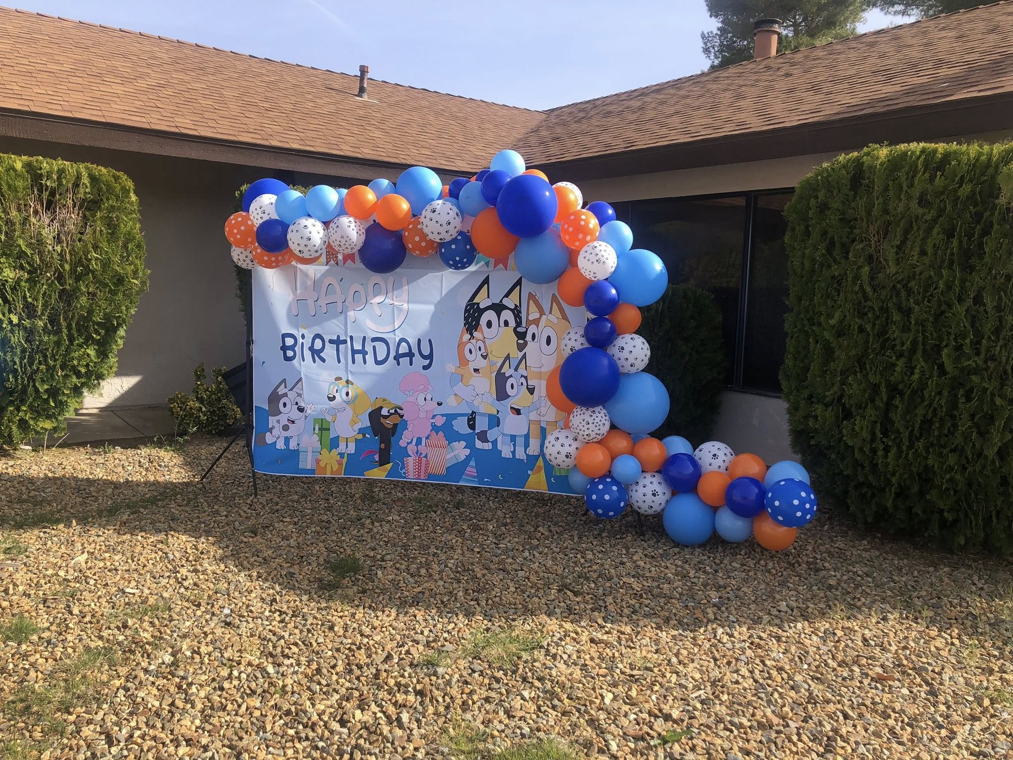 Bluey-themed birthday party backdrop with a balloon arch in orange, light blue, and dark blue shades.