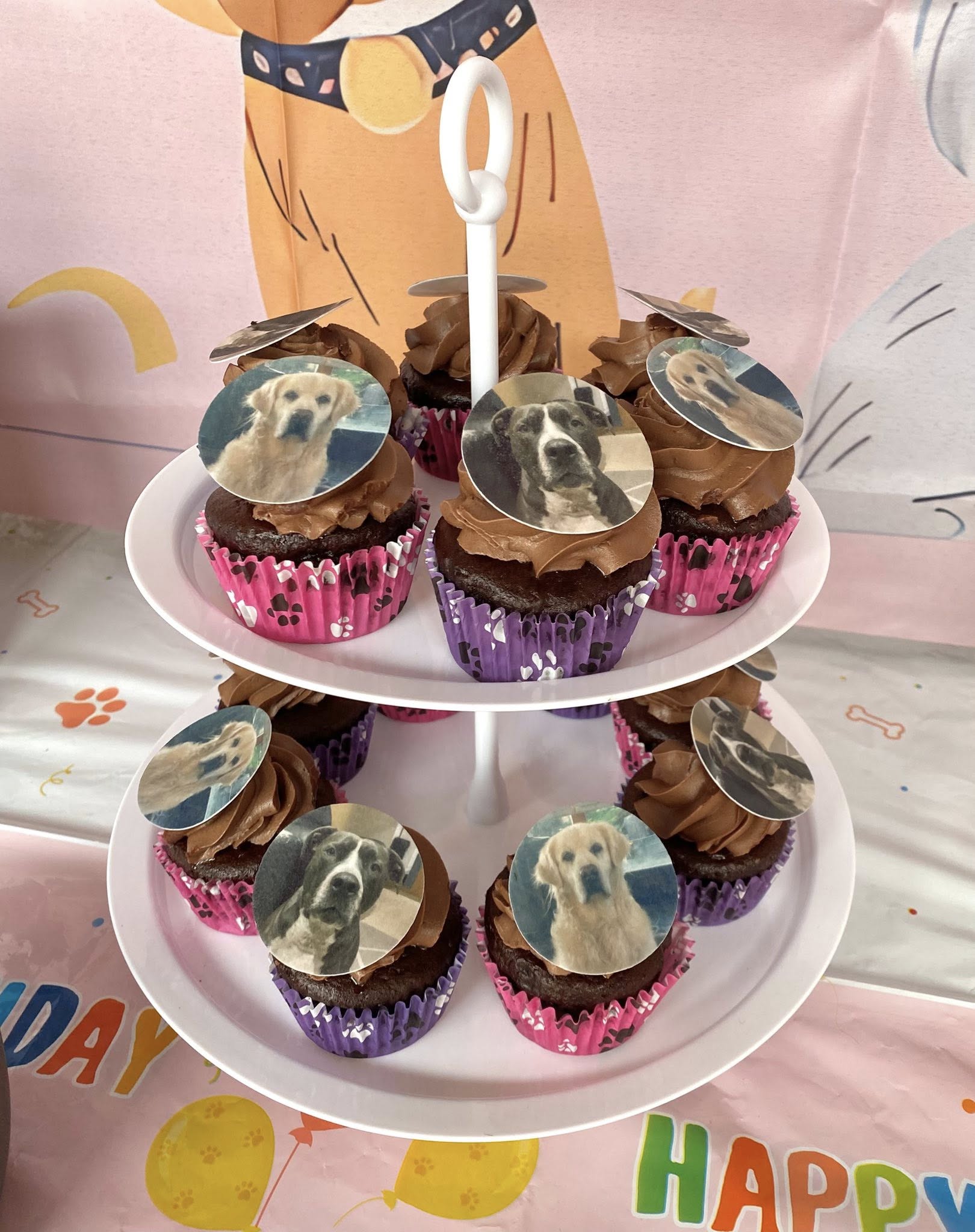 Two-tier stand of chocolate cupcakes with custom dog photo toppers on pink paw print liners