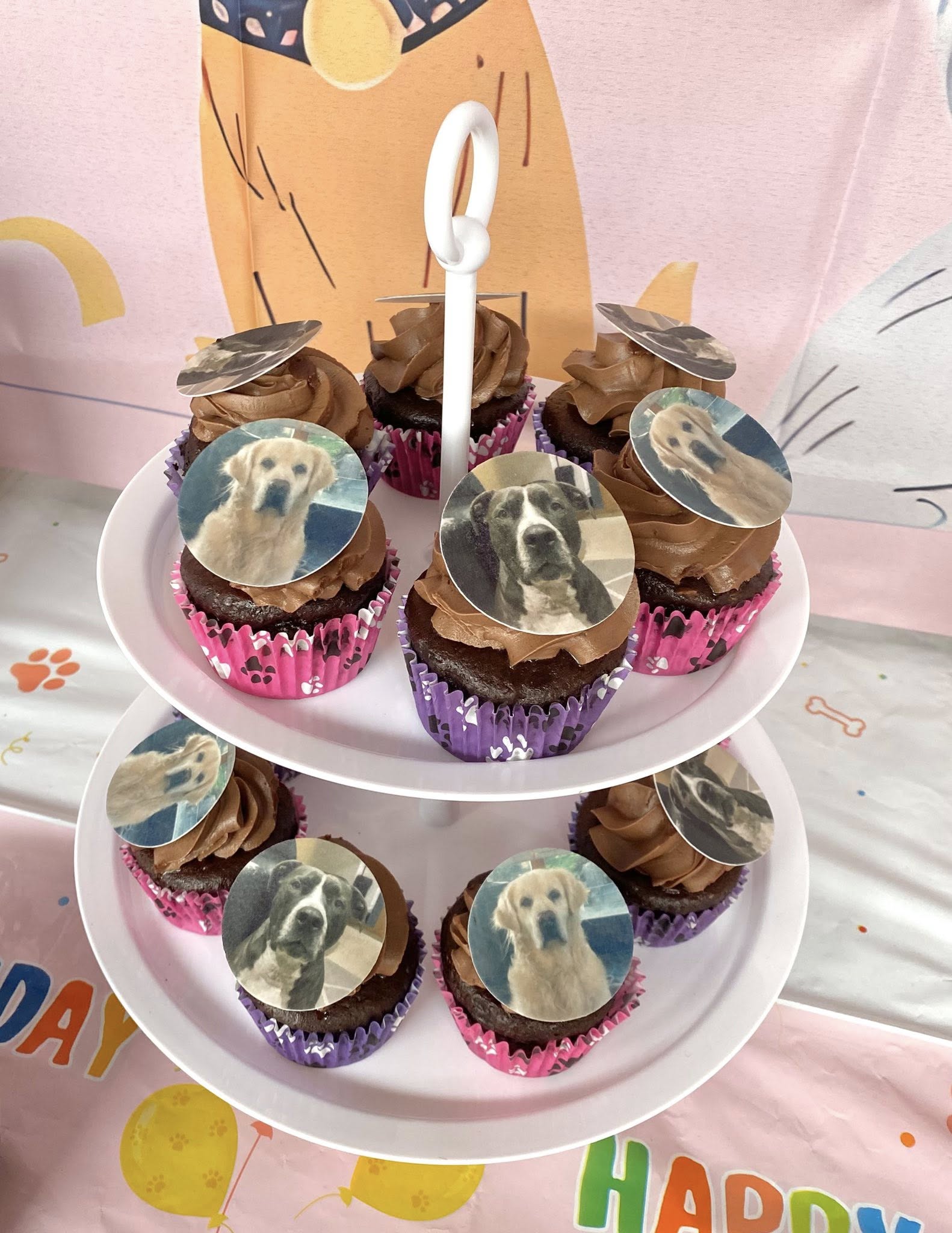 Chocolate cupcakes on a tiered stand topped with round edible photos of golden retrievers and pit bulls.