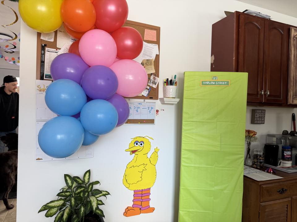 Sesame Street birthday party decorations including a balloon arch, Big Bird wall cutout, and Harlow Street sign