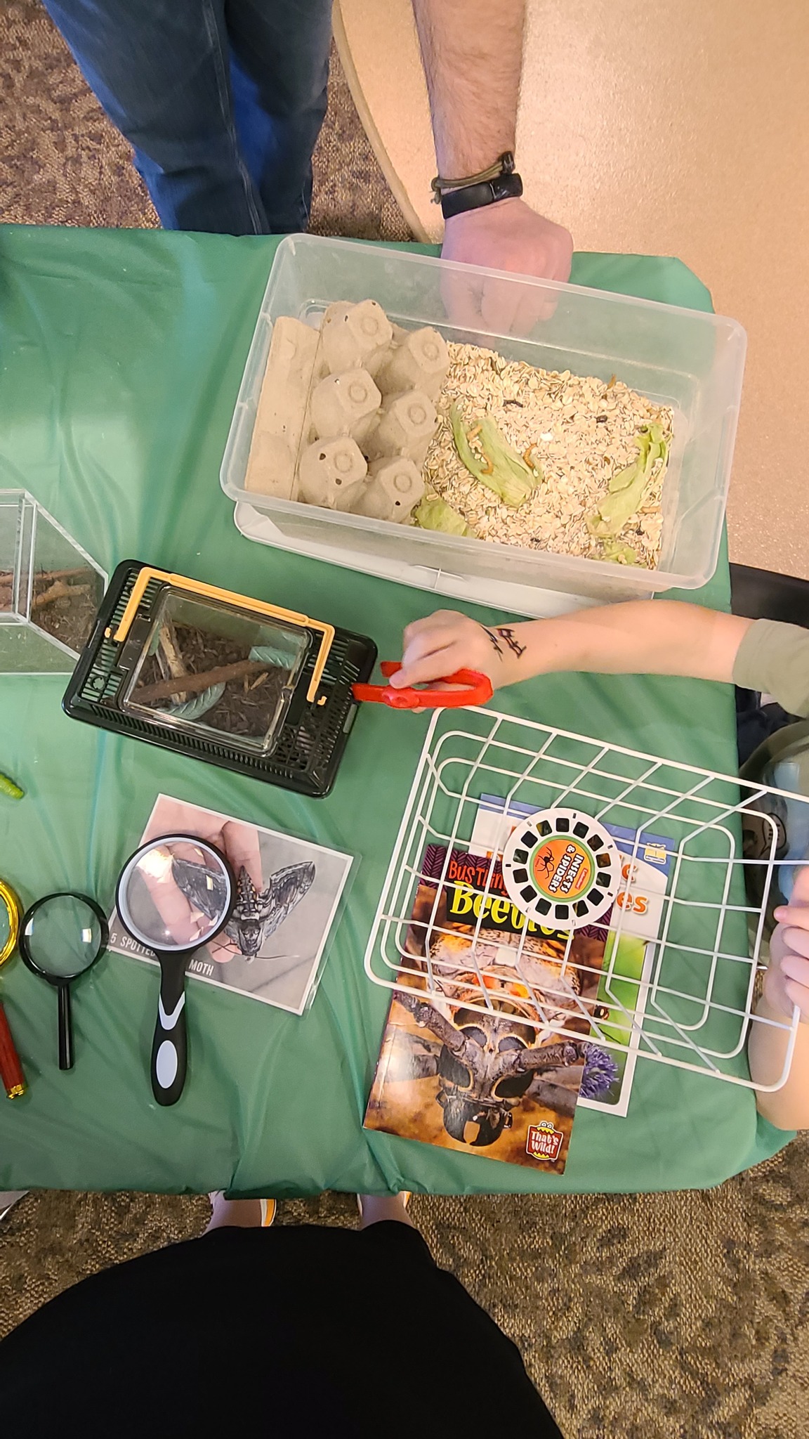 Child observing insect exhibits with magnifiers and educational materials at a nature center display.