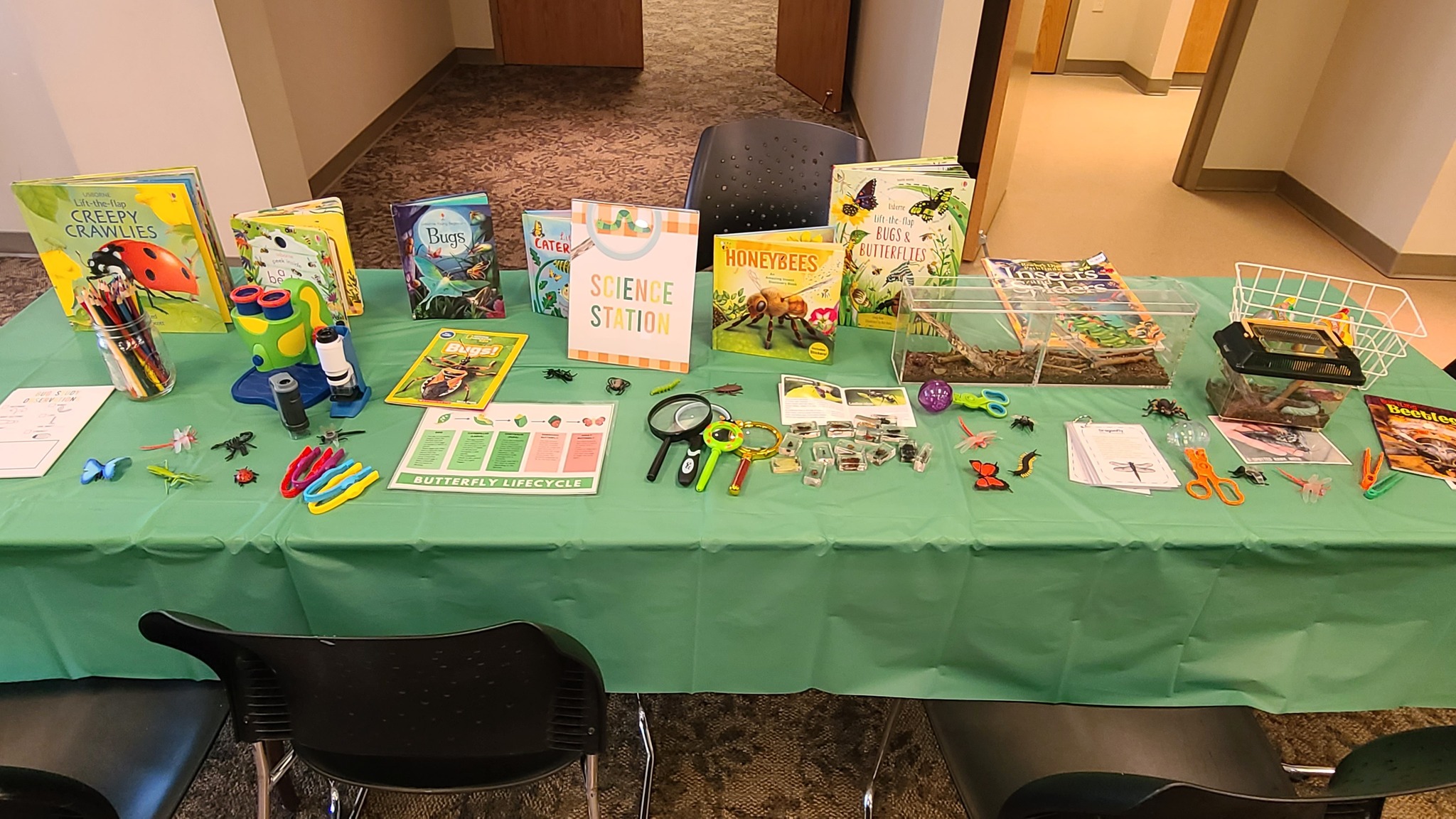 Table set up with a science station for exploring insects, featuring bug-themed books, magnifying glasses, and insect observation kits.