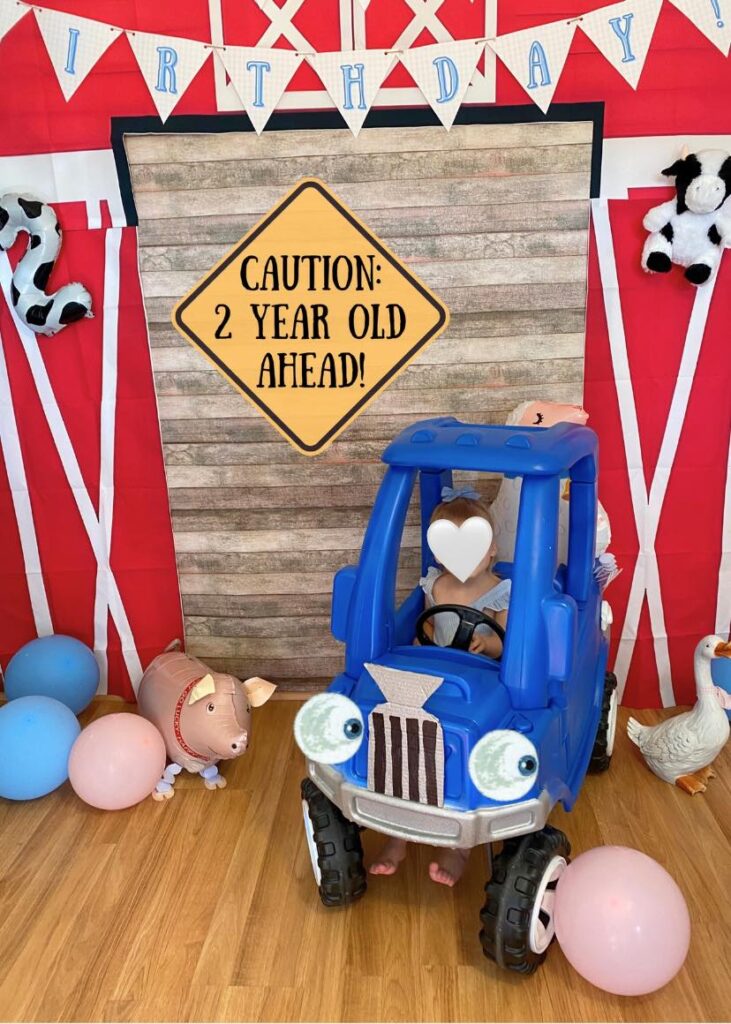 Little Blue Truck themed Party Ideas