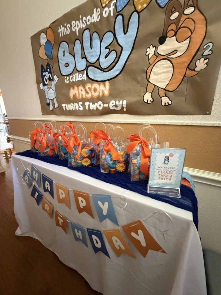 Mason turns TWOEY! Bluey Theme Party Ideas