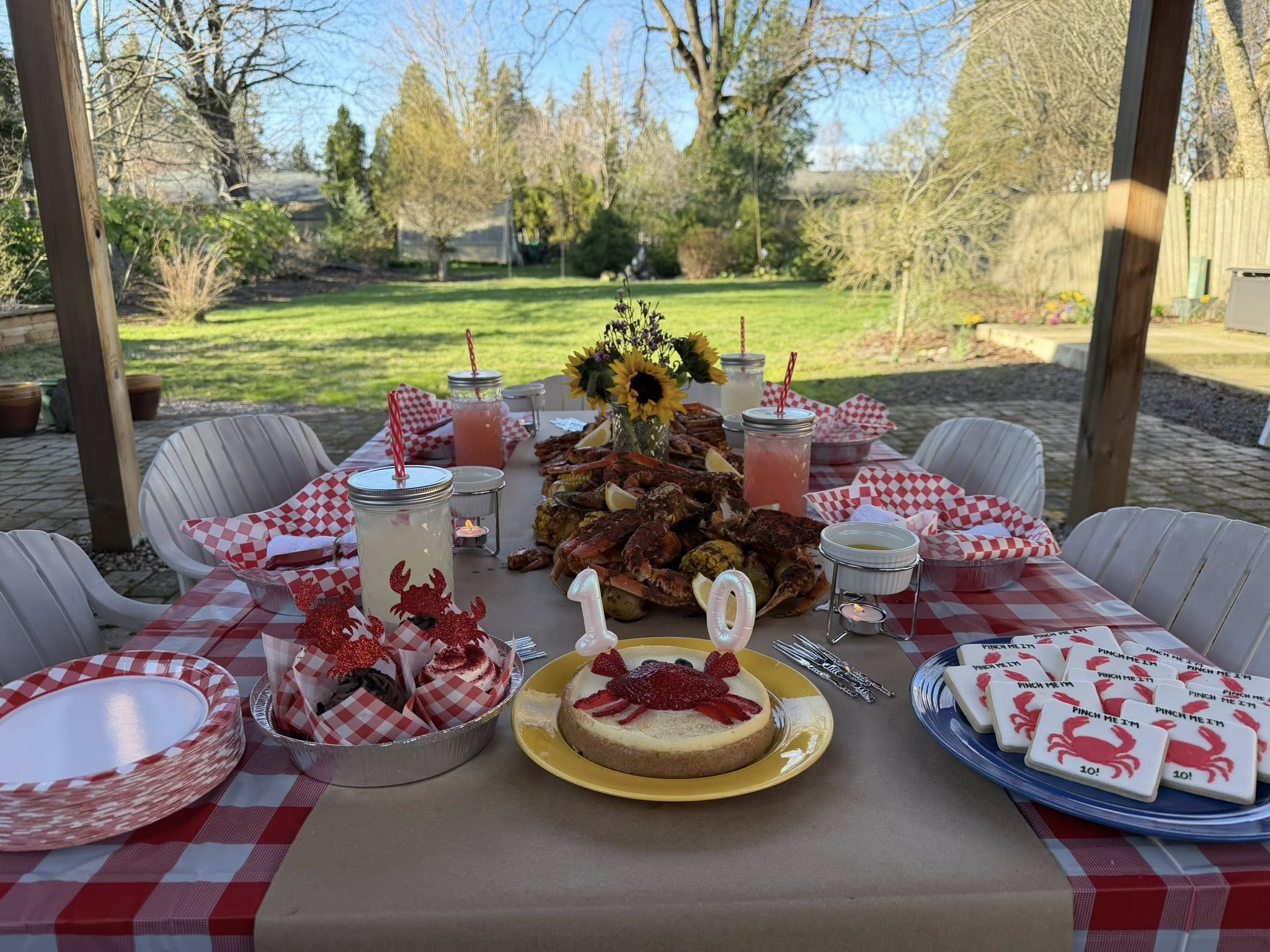 Outdoor crab feast party table setup with a 10th birthday crab-themed cake, cookies, and red gingham decor.