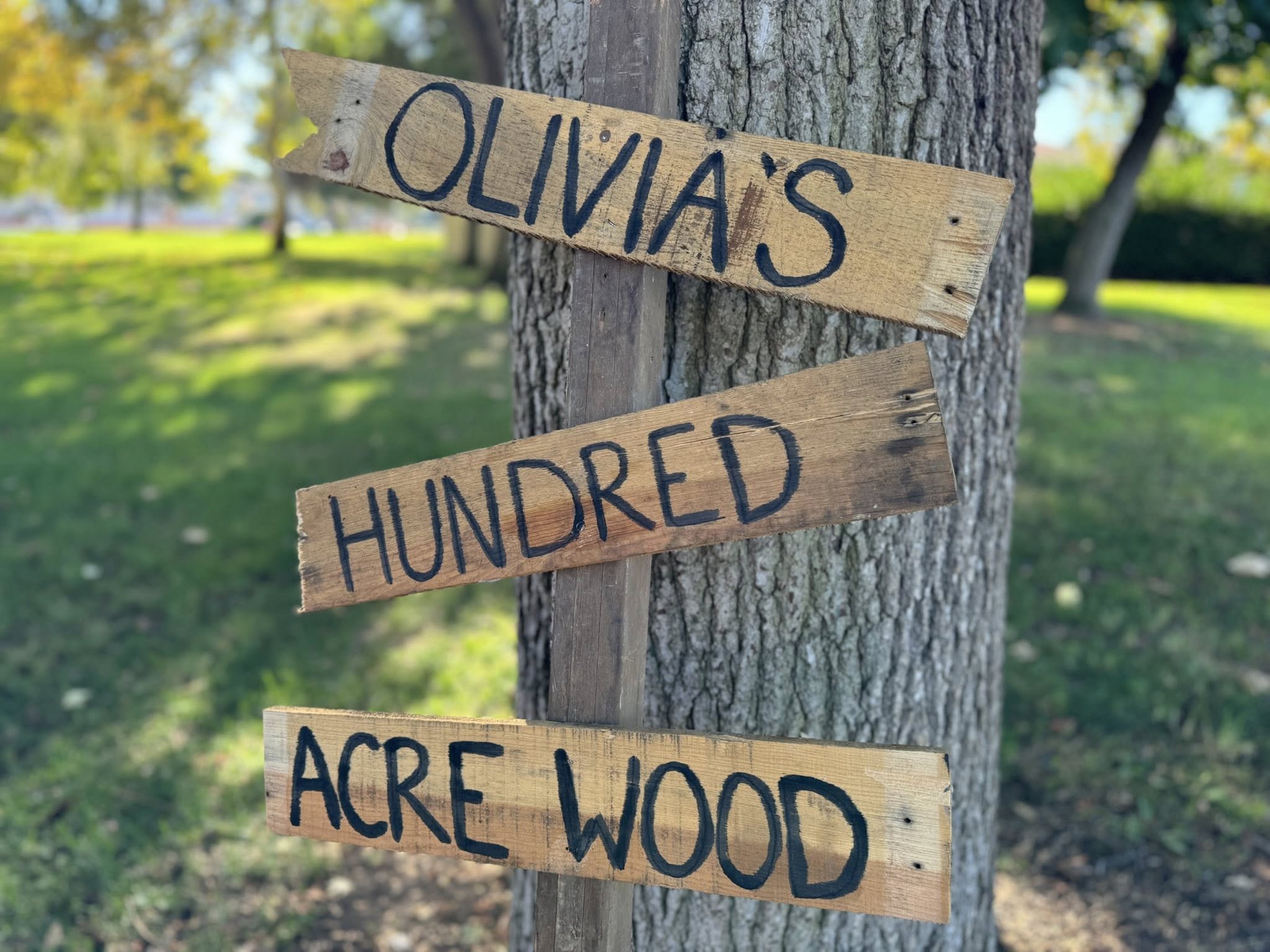 Wooden direction sign attached to a tree featuring the text Olivia's Hundred Acre Wood.