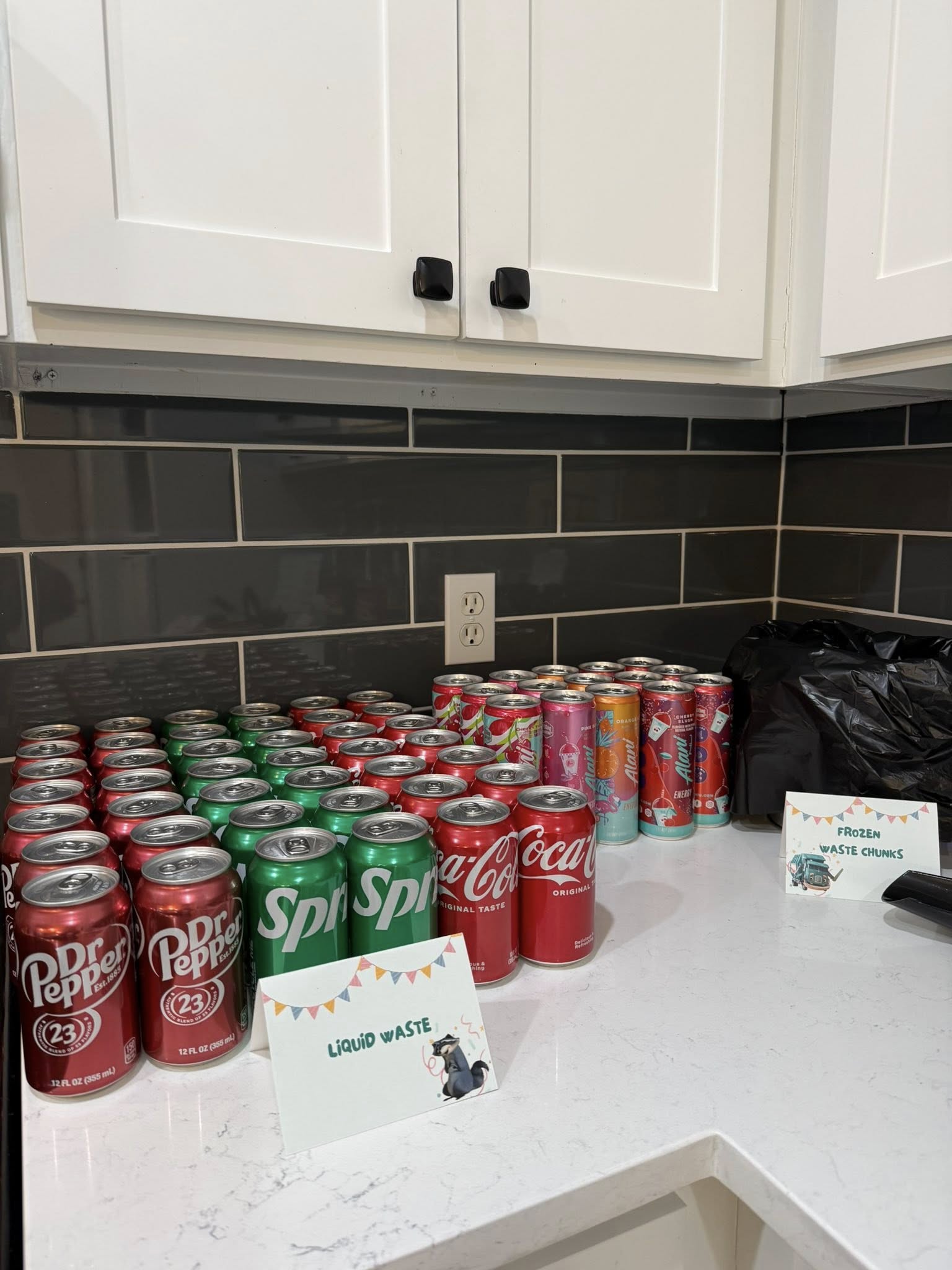 Cans of various sodas and energy drinks arranged on a kitchen counter with signs labeled Liquid Waste and Frozen Waste Chunks.
