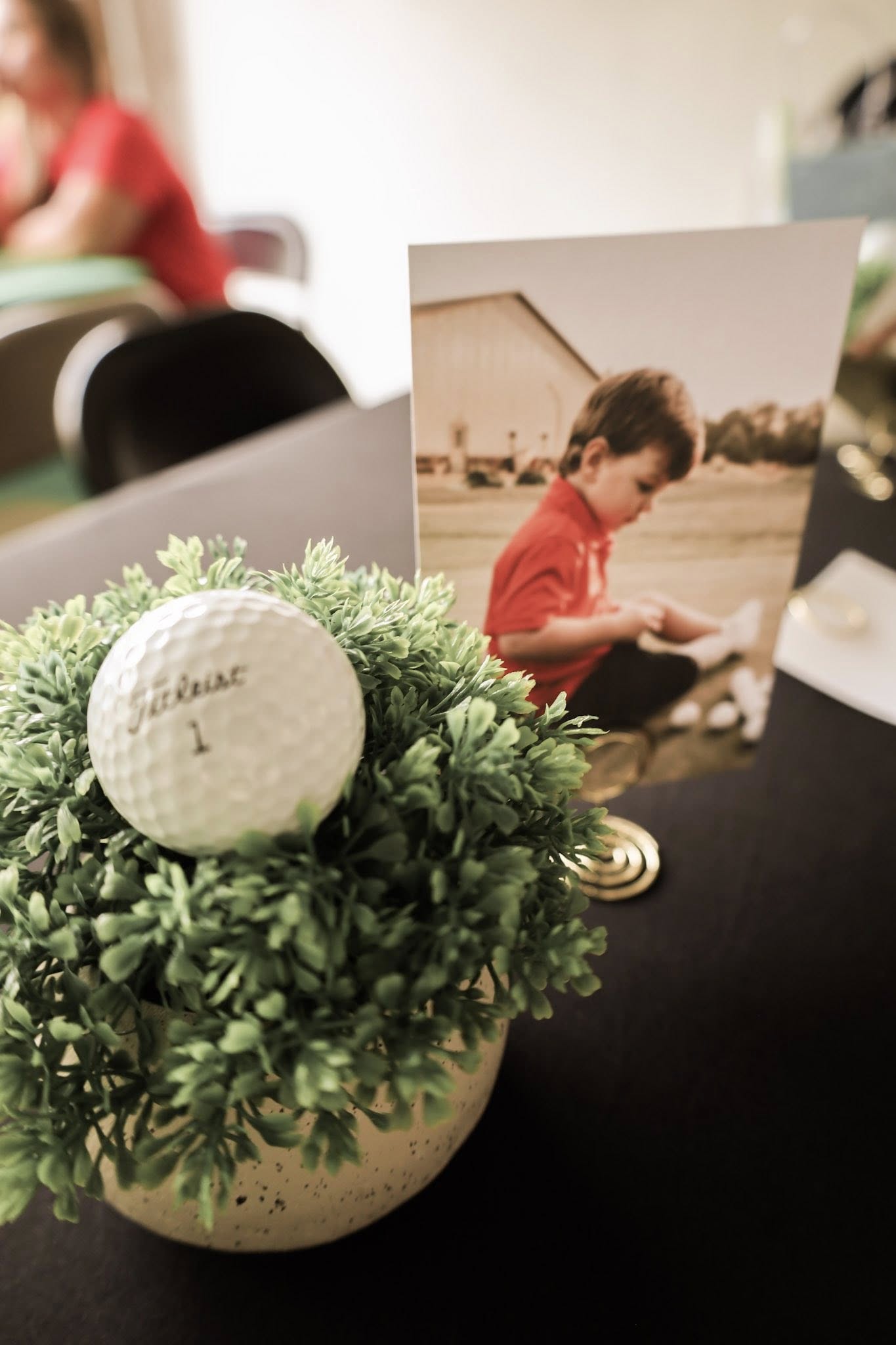 Golf ball tucked into a small green plant next to a framed photo of a young boy.