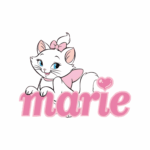 View Marie Party Ideas
