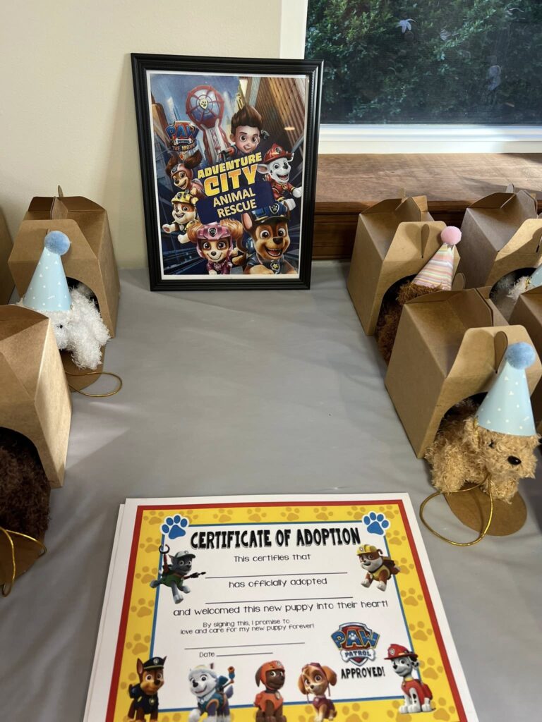 Paw Patrol Girl party