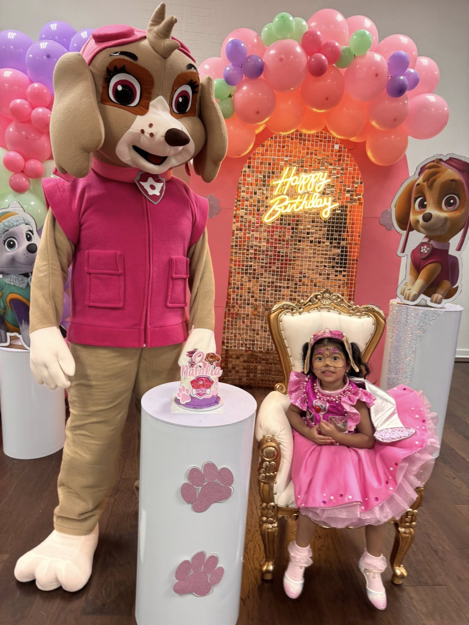 Young girl in a pink dress and face paint sits in a golden chair next to a Skye mascot for a Paw Patrol birthday party.