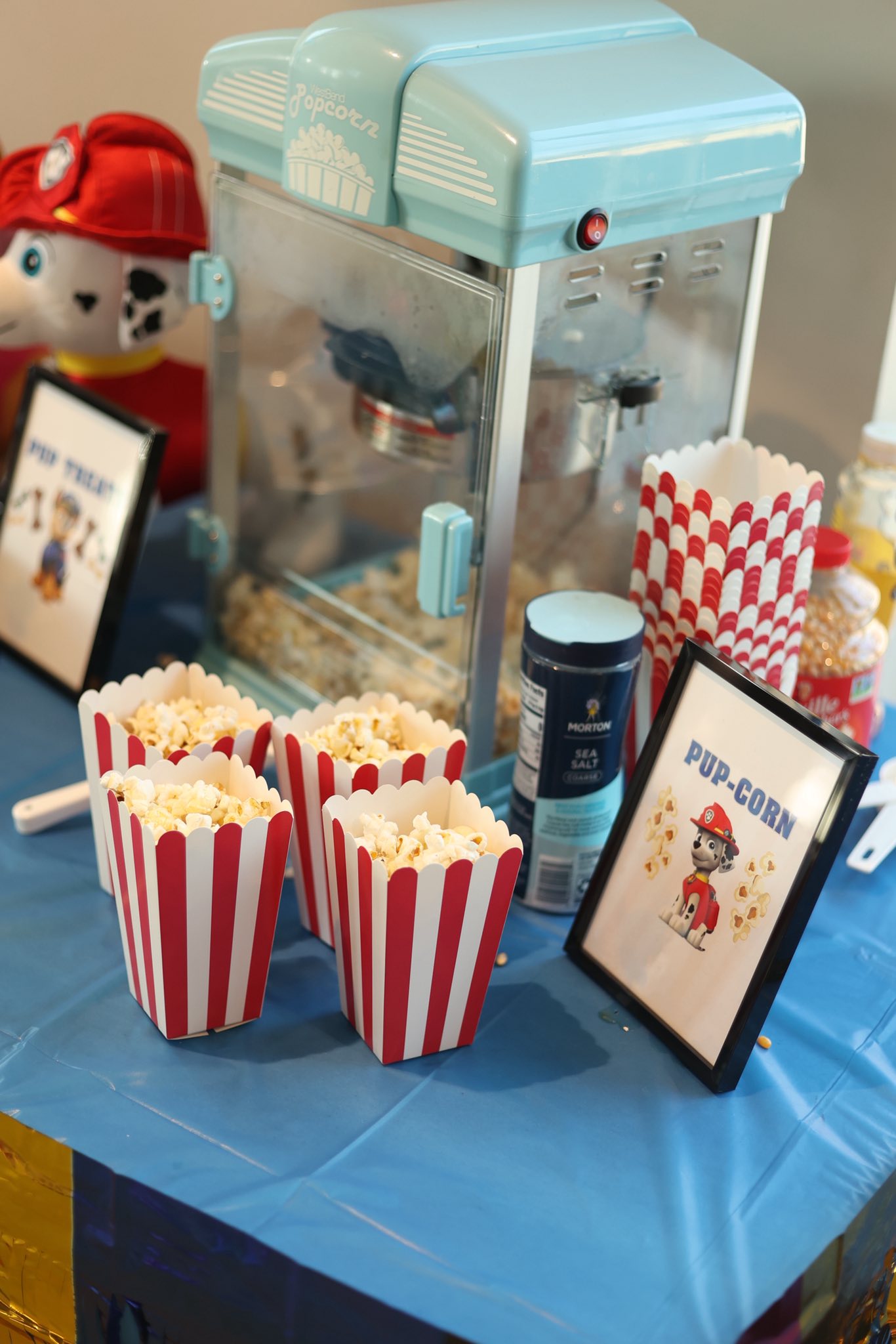 Paw Patrol themed popcorn station with vintage-style machine, red and white striped buckets, and Pup-Corn sign.