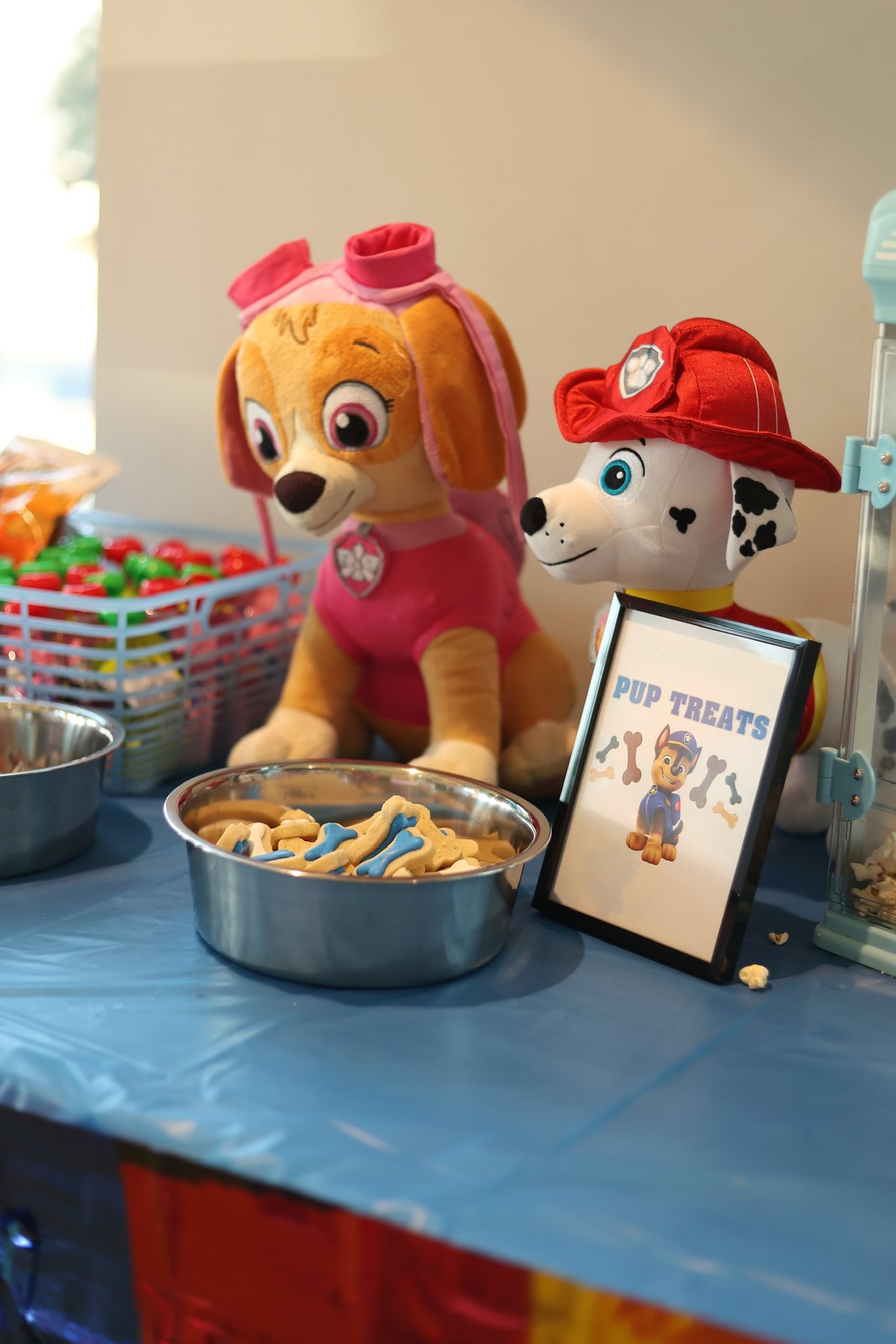 Bowl of bone-shaped dog treats with a Pup Treats sign and Paw Patrol plush characters
