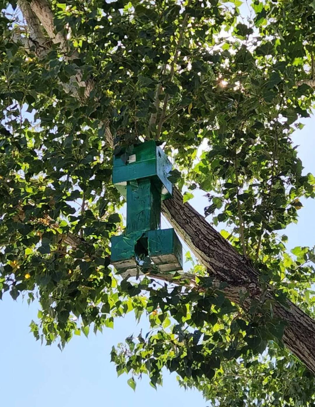 Minecraft Creeper-shaped birdhouse hanging in a tree