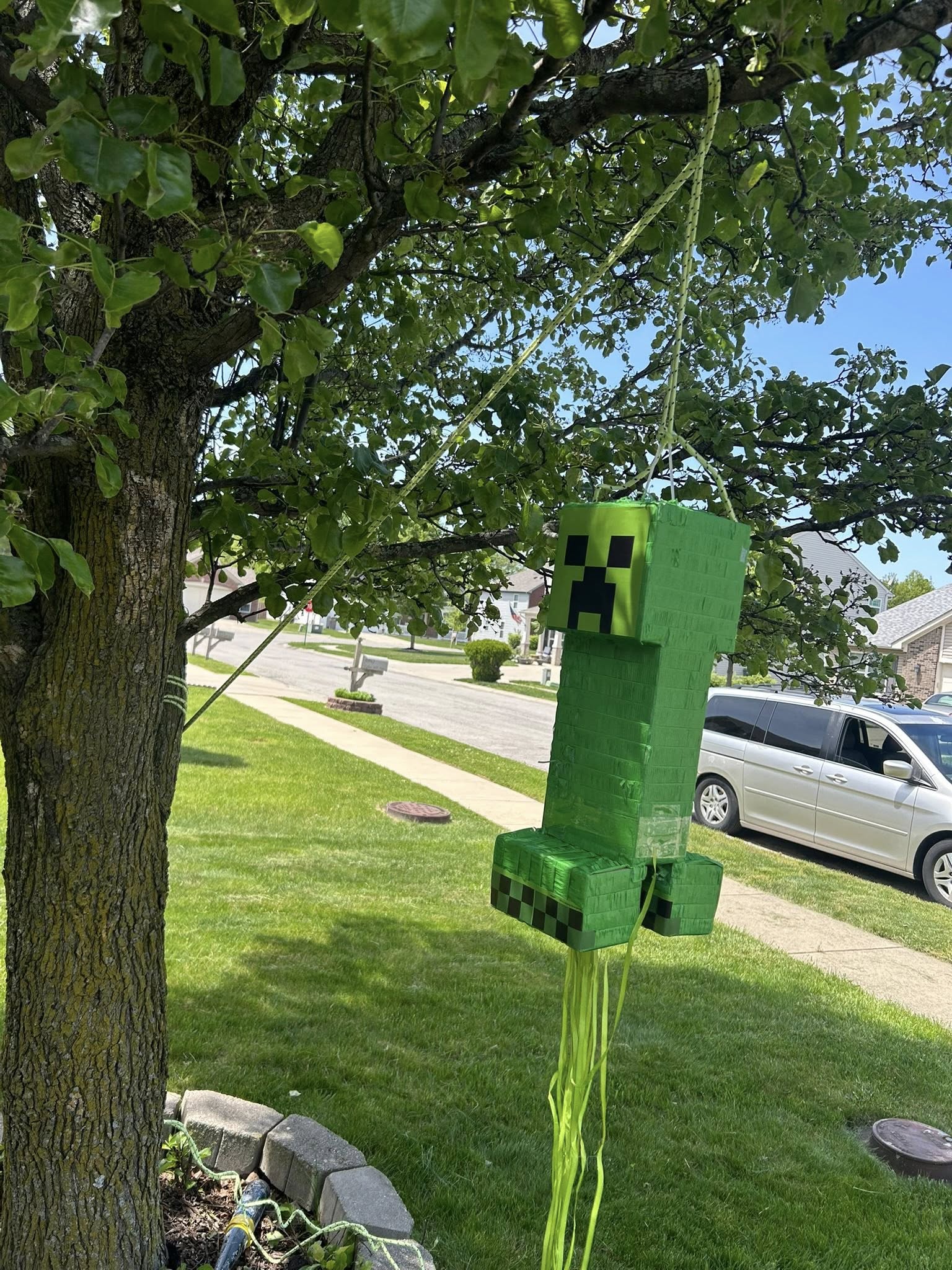 Minecraft Creeper pinata hanging from a tree branch in a residential yard