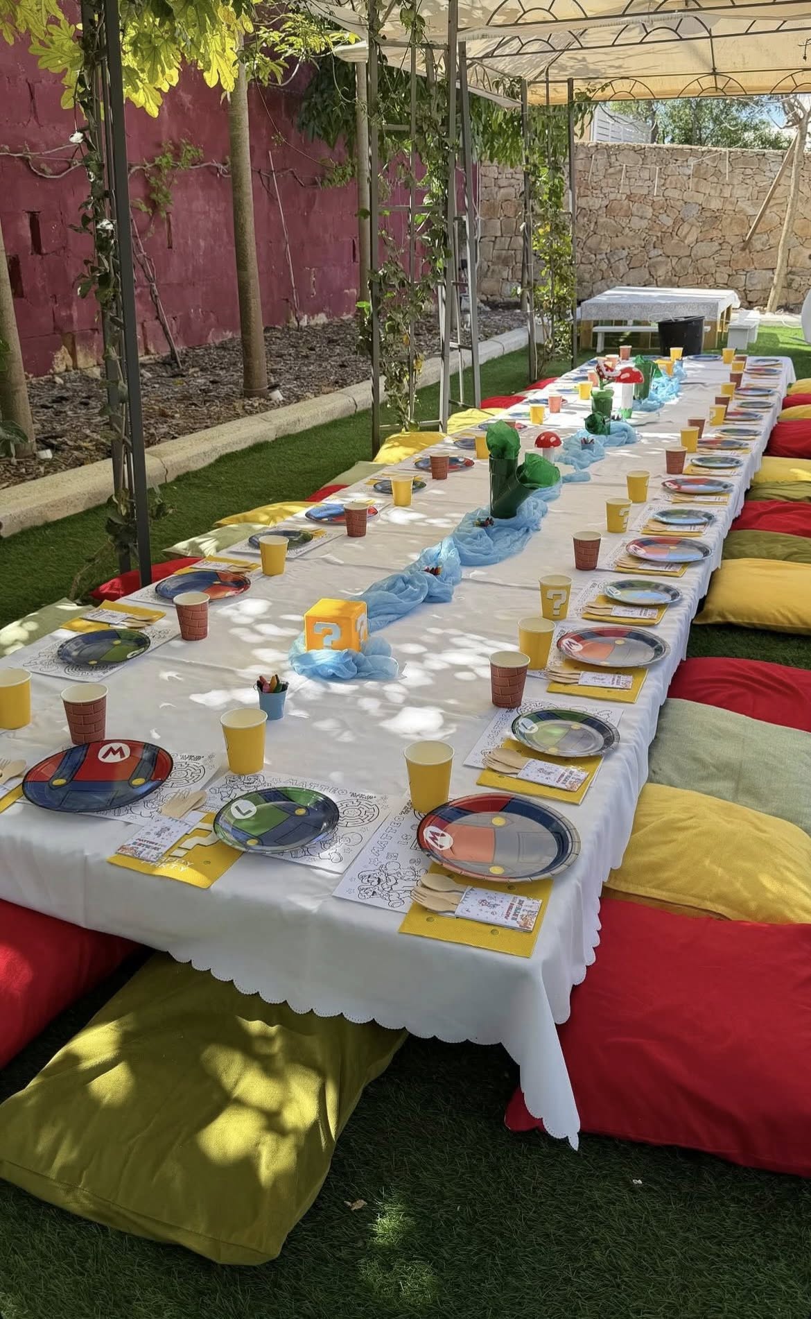 Outdoor Mario-themed birthday party table setup with character plates, yellow cups, and colored floor cushions.
