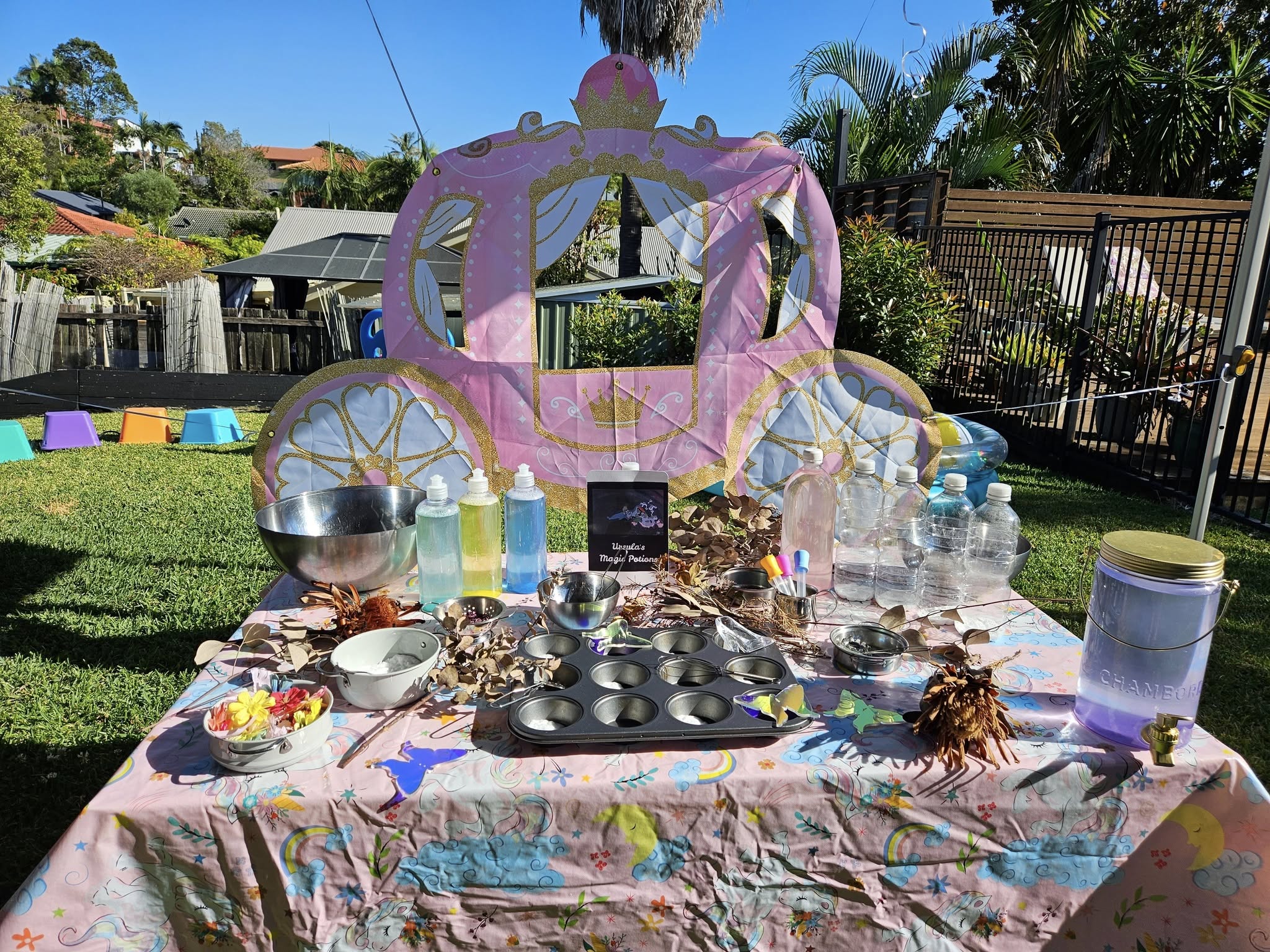 Outdoor children's fantasy magic potion play station with a princess carriage backdrop and science supplies.