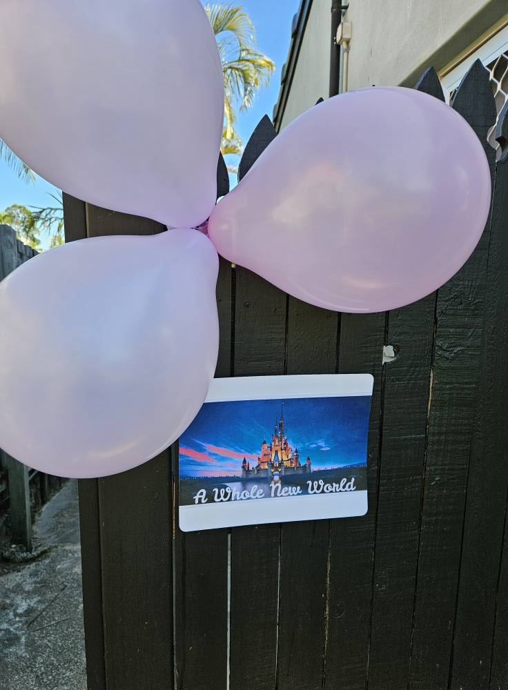 A Whole New World sign featuring a Disney castle, decorated with pale pink balloons on a wooden fence.