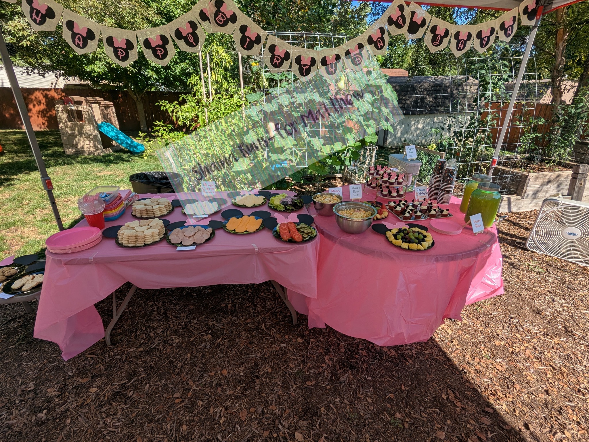 Outdoor Minnie Mouse birthday party food buffet with pink tablecloths and character-themed snacks