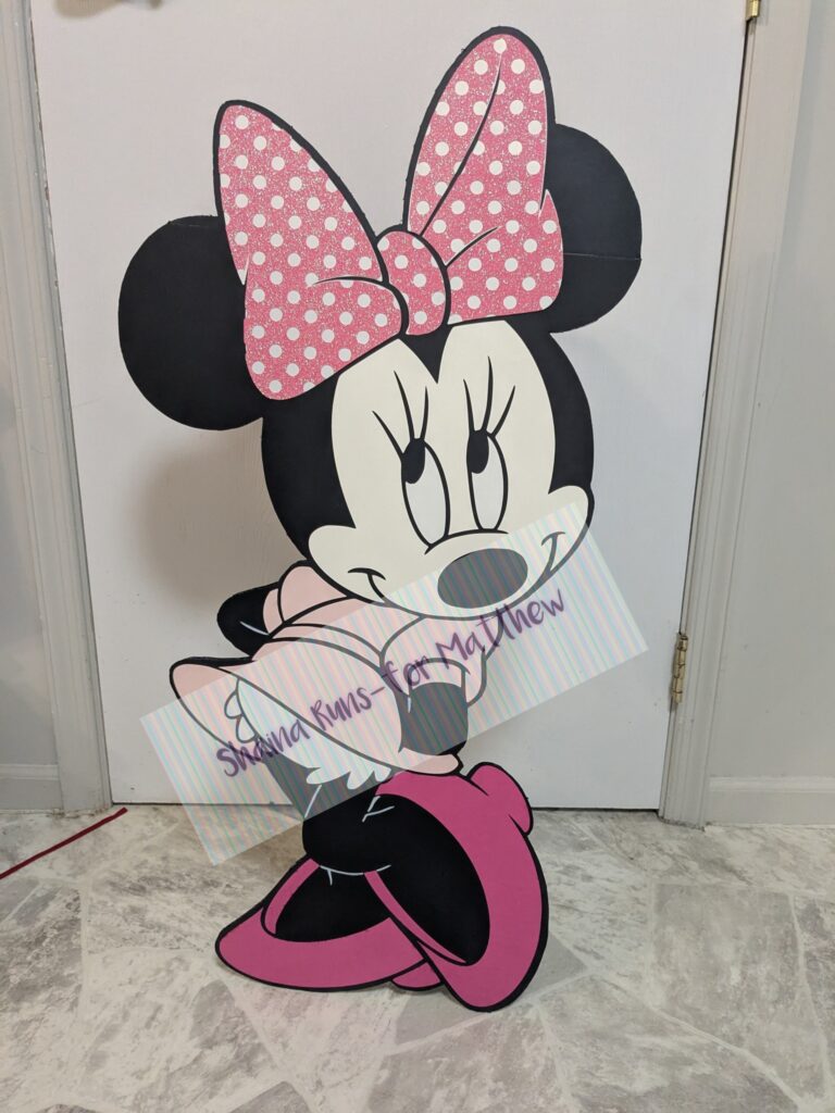 Minnie Mouse themed birthday party for my kiddo
