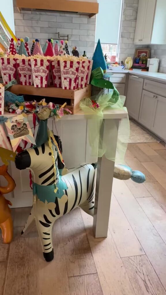 Triplet Circus Themed Birthday Party