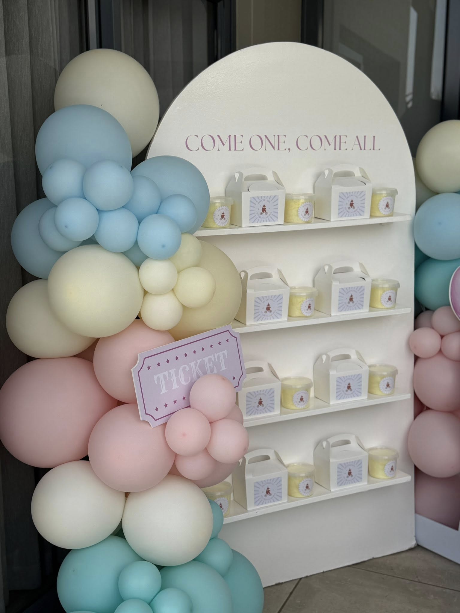 Circus-themed party display stand with pastel balloon arch and labeled favor boxes.