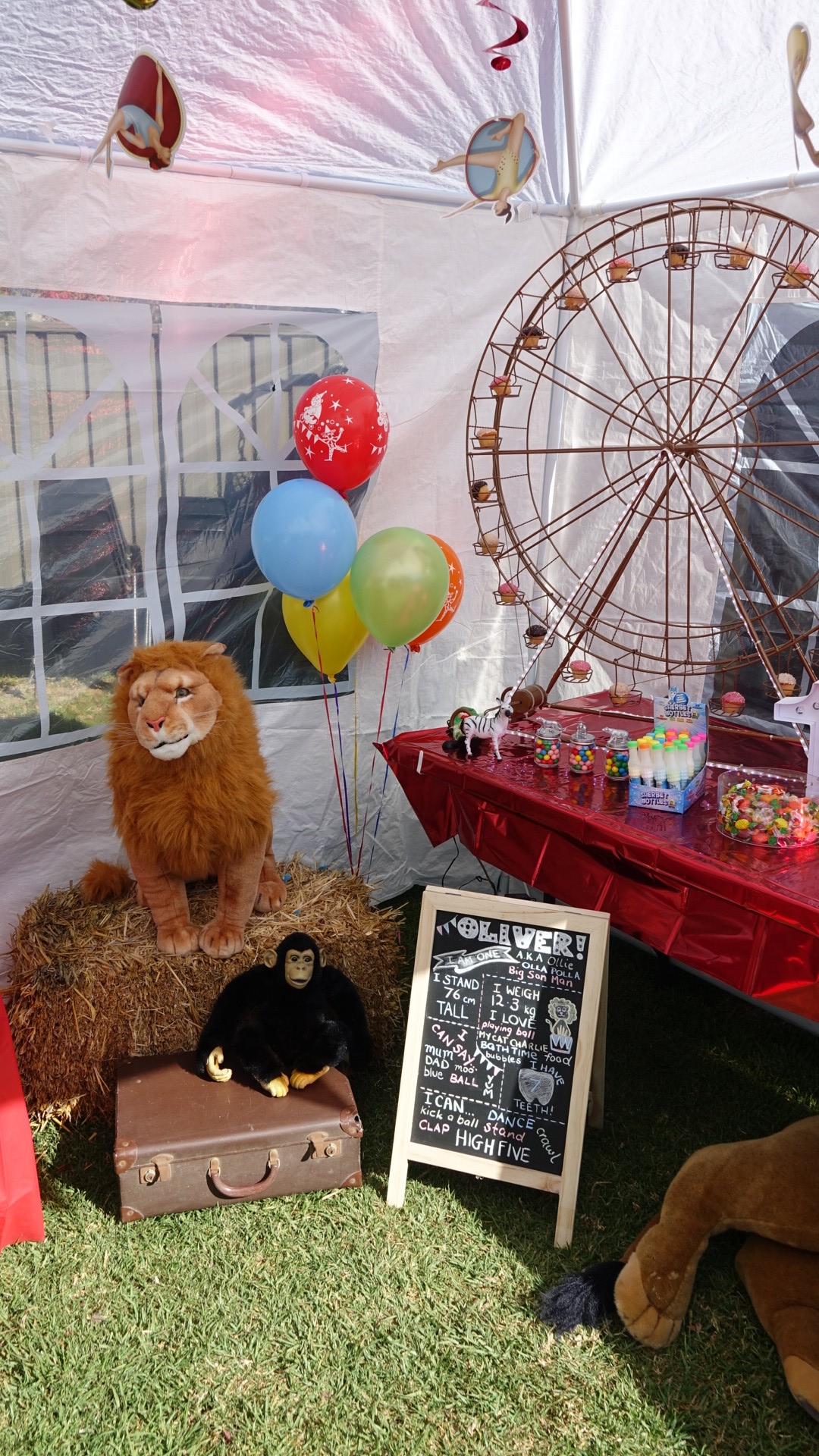 Carnival-themed first birthday party display with a lion plush, monkey, balloons, and an Oliver chalkboard sign.