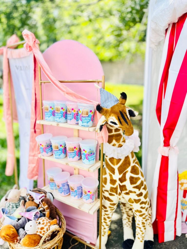 Girly Circus Joint Birthday Party for Girls