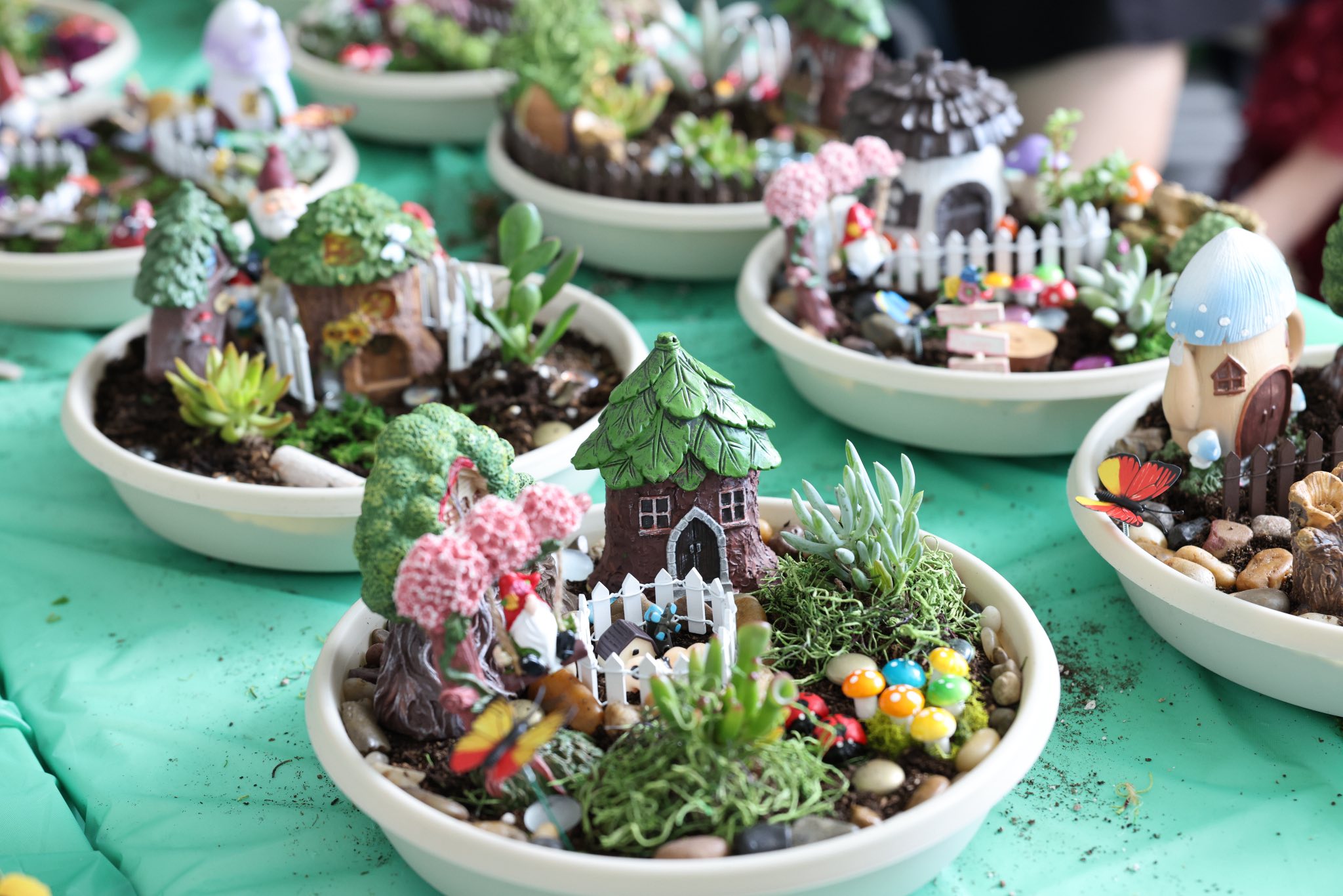 Tabletop fairy garden kits with miniature houses, fences, succulent plants, and colorful garden accessories.