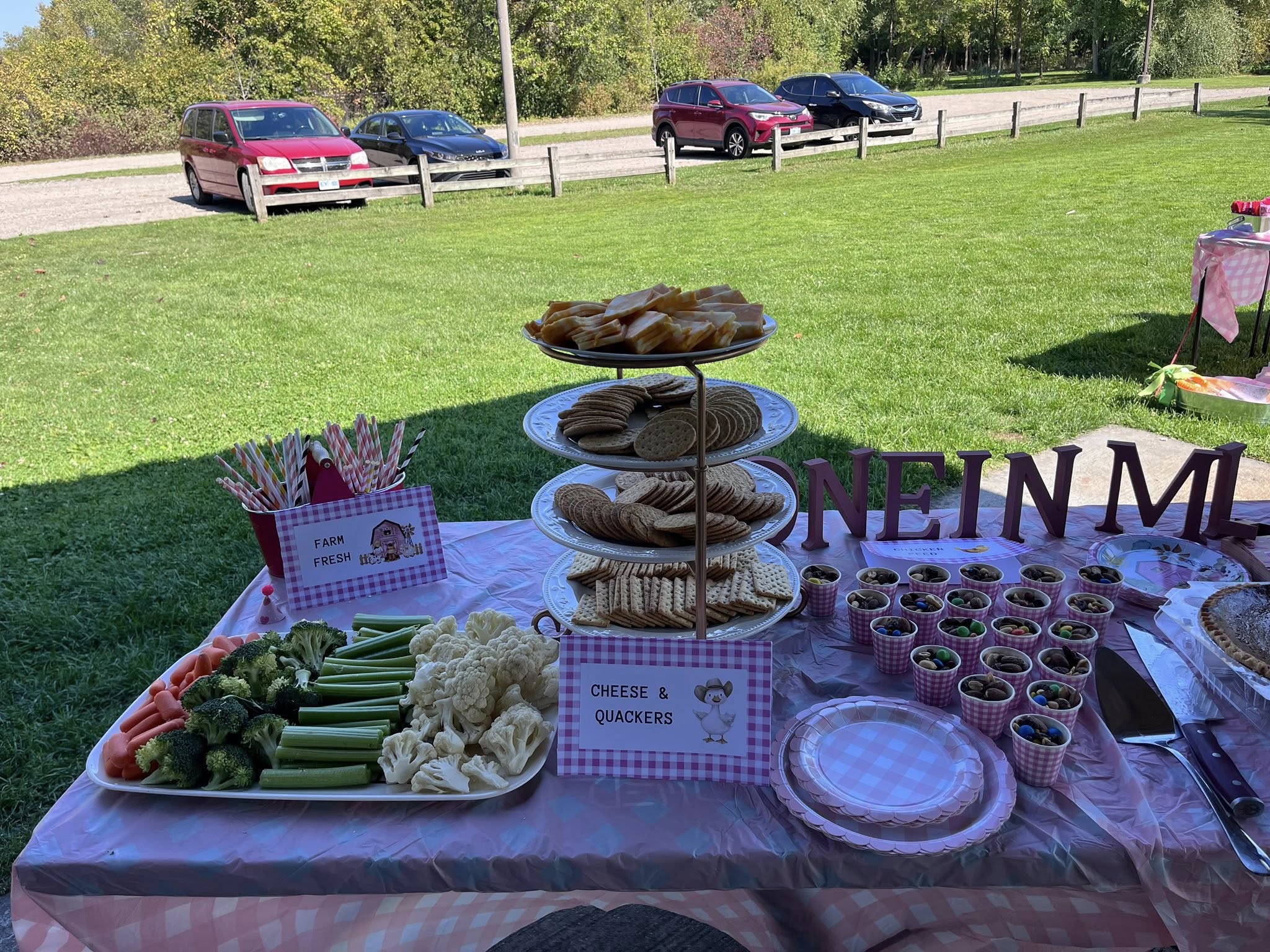 Outdoor picnic table decorated with farmhouse theme serving cheese, crackers, and raw vegetables.