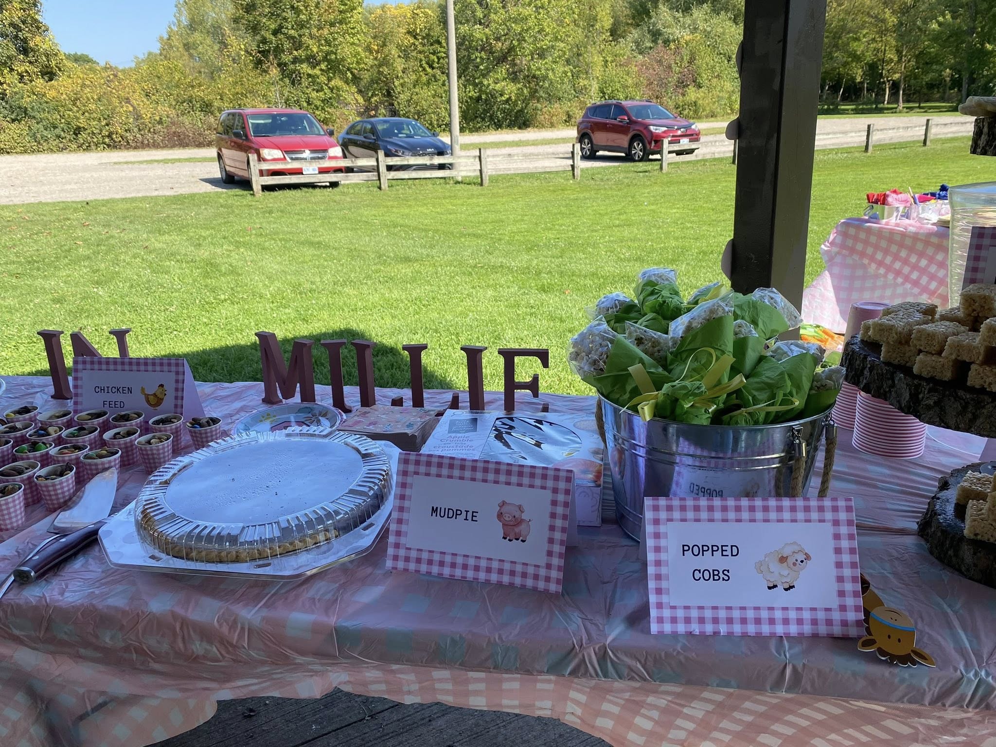 A party food table outdoors decorated with animal-themed labels for mudpie and popped cobs
