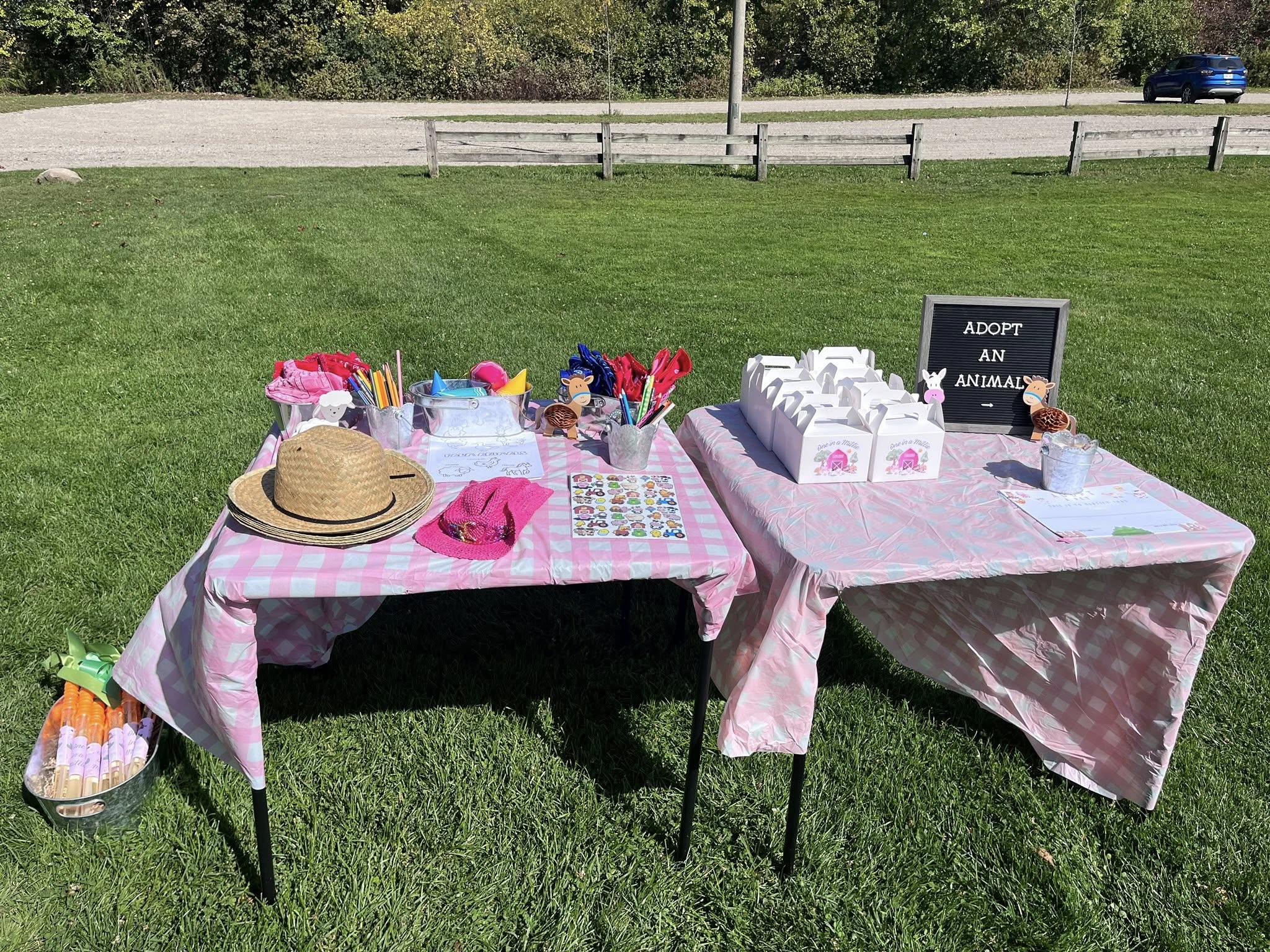 Adopt an animal party activity station with favor boxes, straw hats, and coloring supplies on tables outdoors.