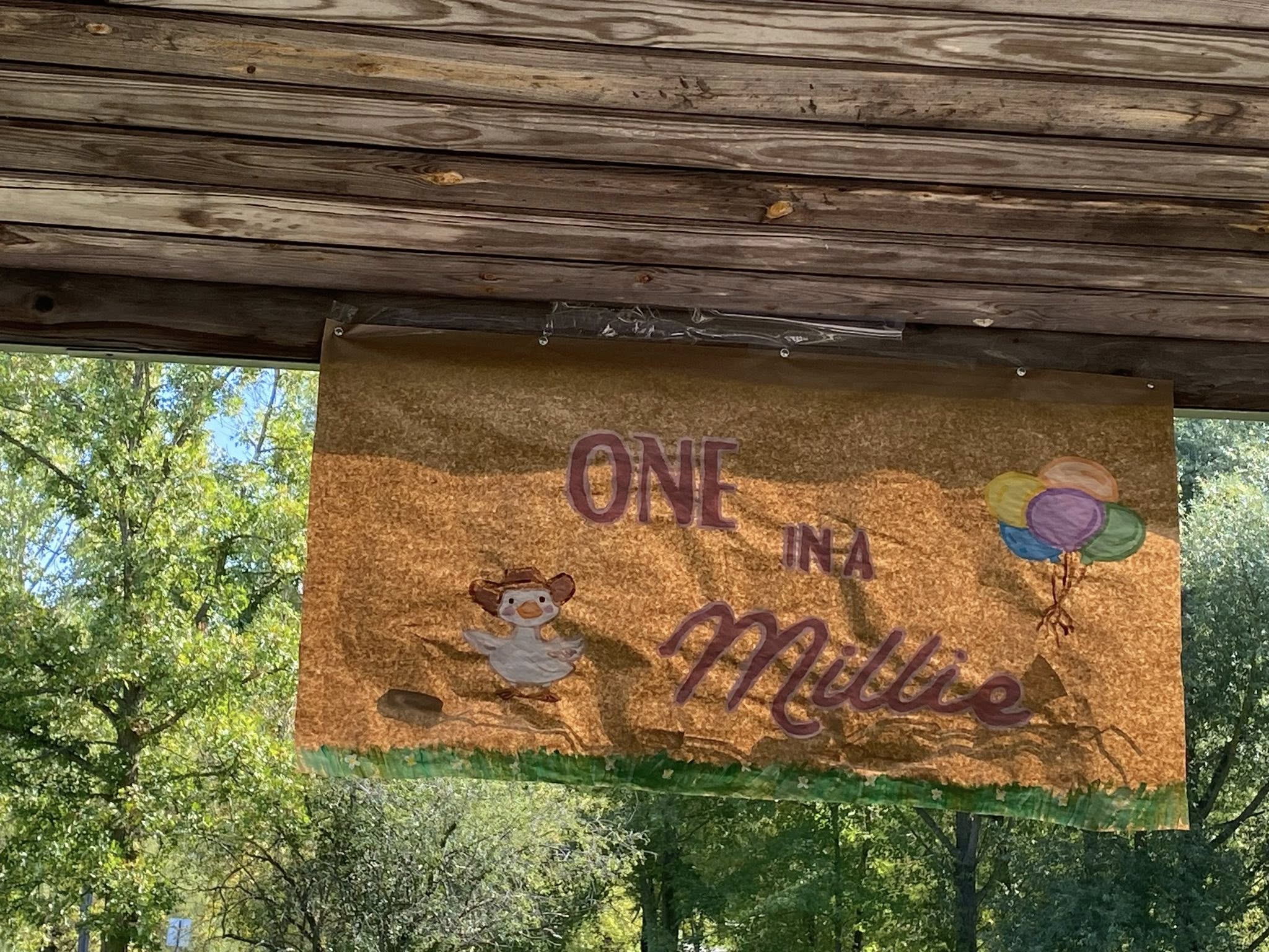 Hanging banner featuring a cartoon duck in a cowboy hat with the text One in a Millie and colorful balloons.