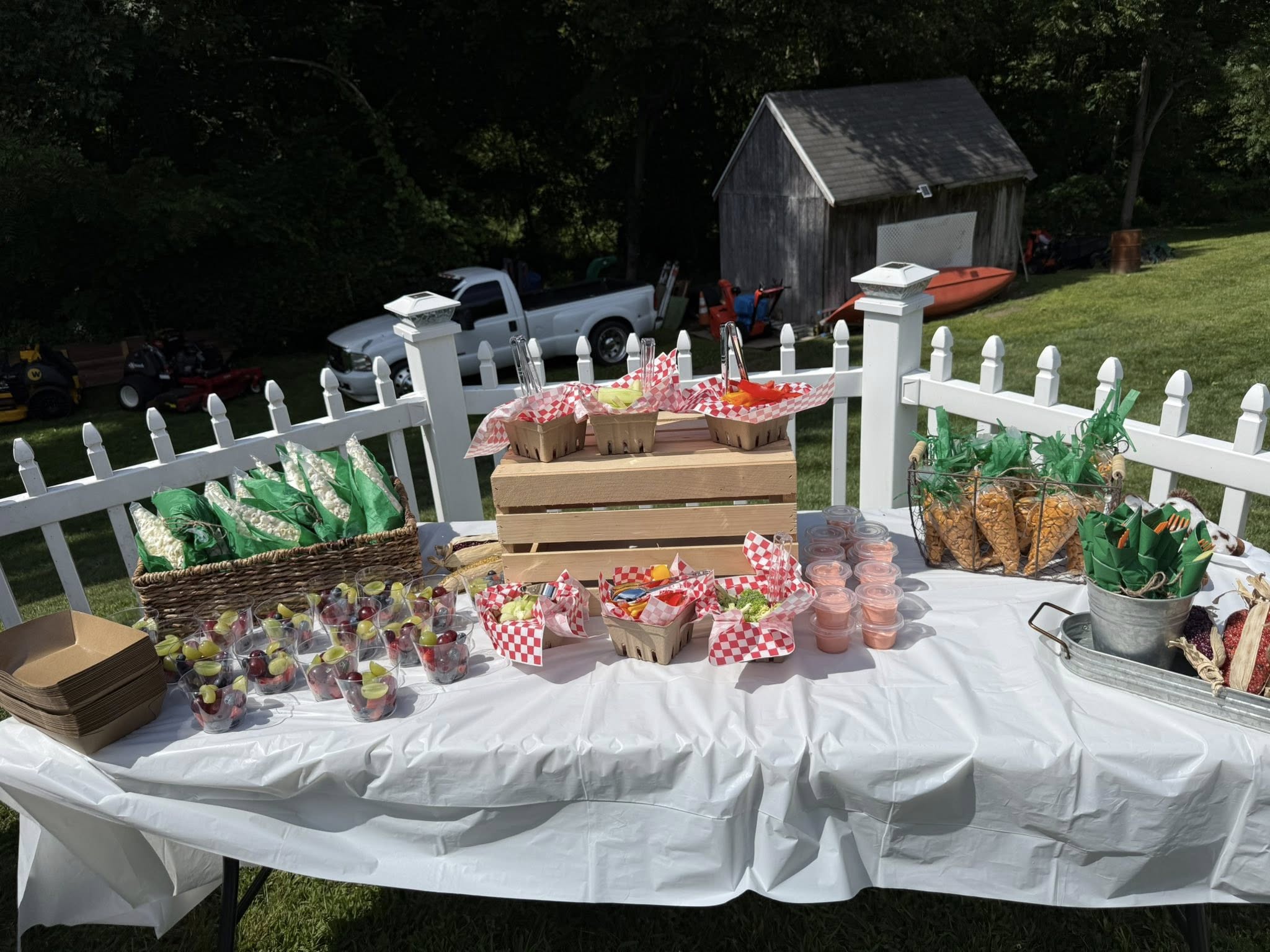 Outdoor picnic snack table set up with fruit cups, popcorn and vegetable servings in a grassy backyard.