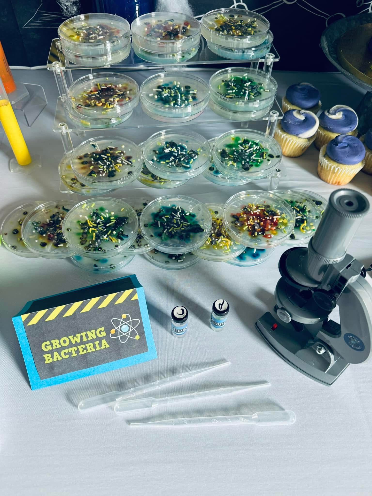 Table display featuring petri dishes filled with colorful bacterial agar, a microscope, and a sign reading Growing Bacteria
