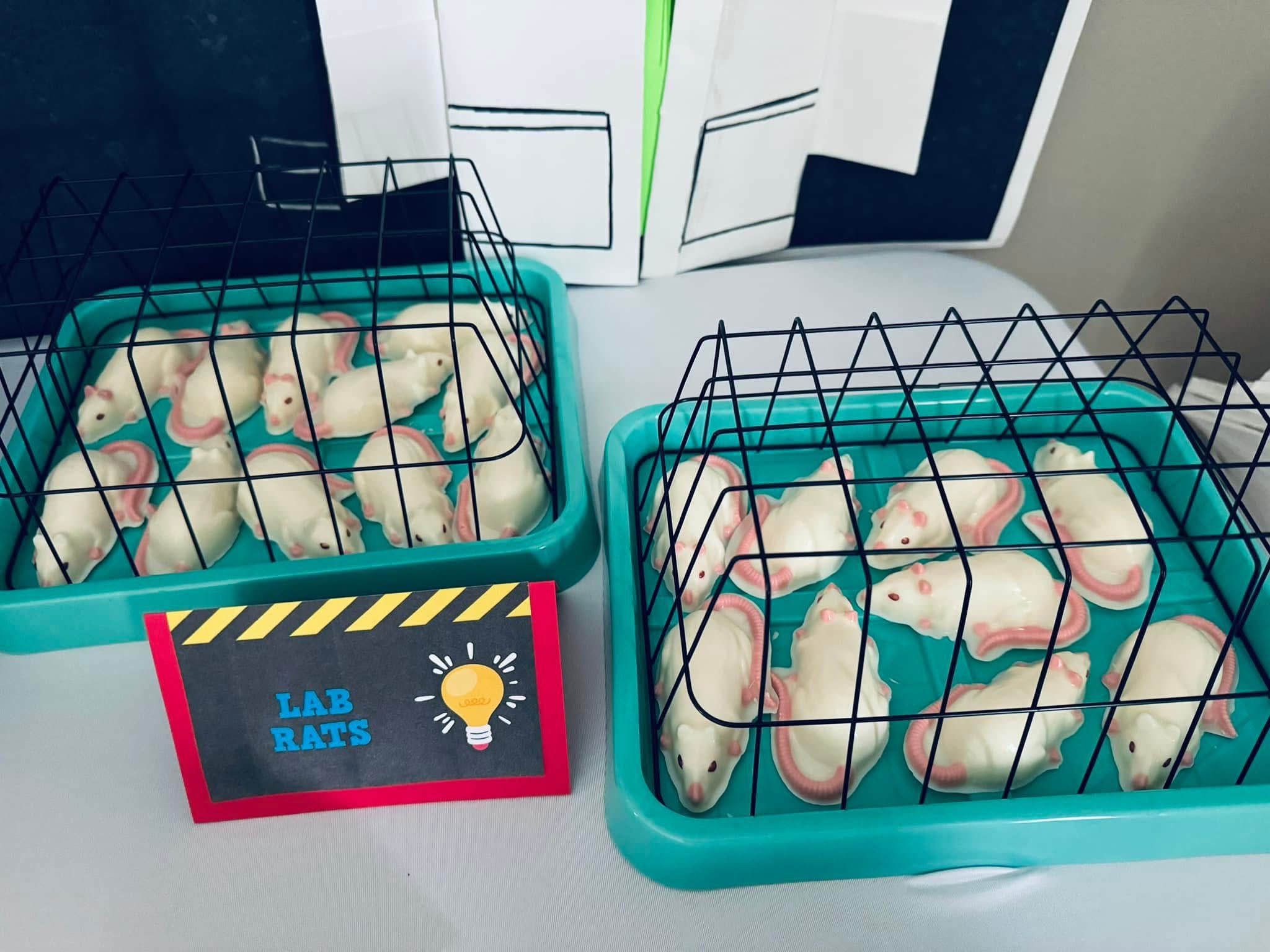 Two turquoise trays containing white candy lab rats inside small wire cages, labeled with a Lab Rats sign.