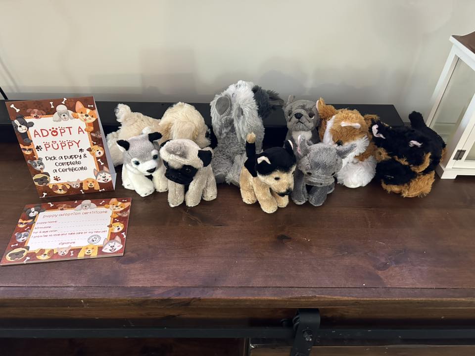 adopt a stuffed puppy
