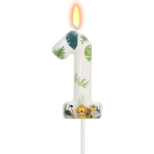 B0F9W6XRD6.jpg Wild Animal Number 1 Candle for Safari First Birthday Cake