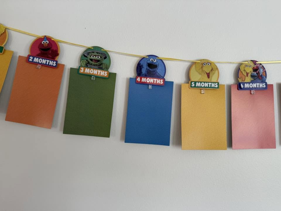 Sesame Street theme monthly photo banner with clips for 2 to 6 months