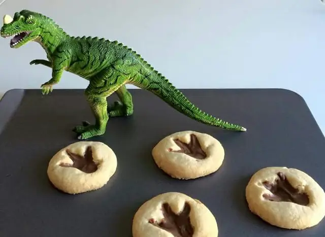 Dinosaur Footprint Cookies with a Toy T-Rex Display
