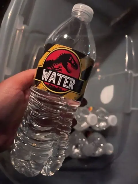 Dinosaur Water Bottle with a Red and Yellow Label