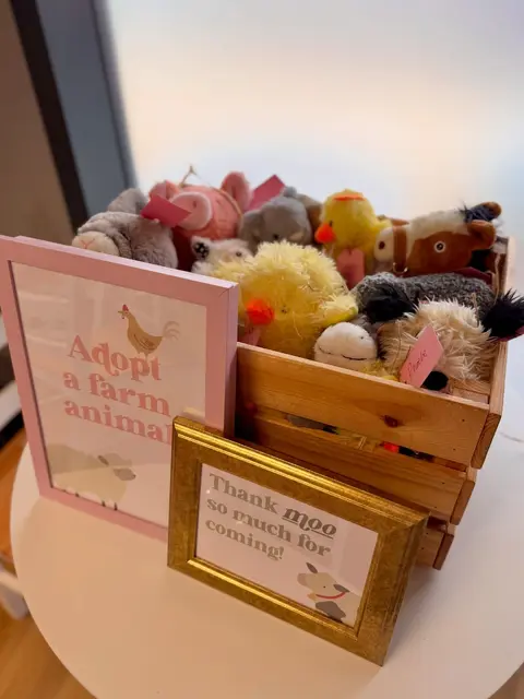 Farm Animal Adoption Station with Plush Toys