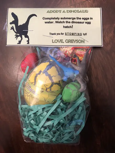 Adopt a Dinosaur Favor Bag with Egg Toys
