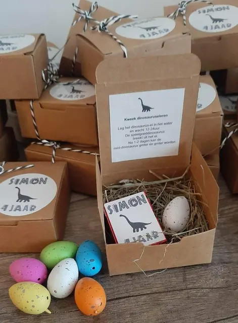 Dinosaur Egg Favor Boxes with Labels and Instruction Inserts